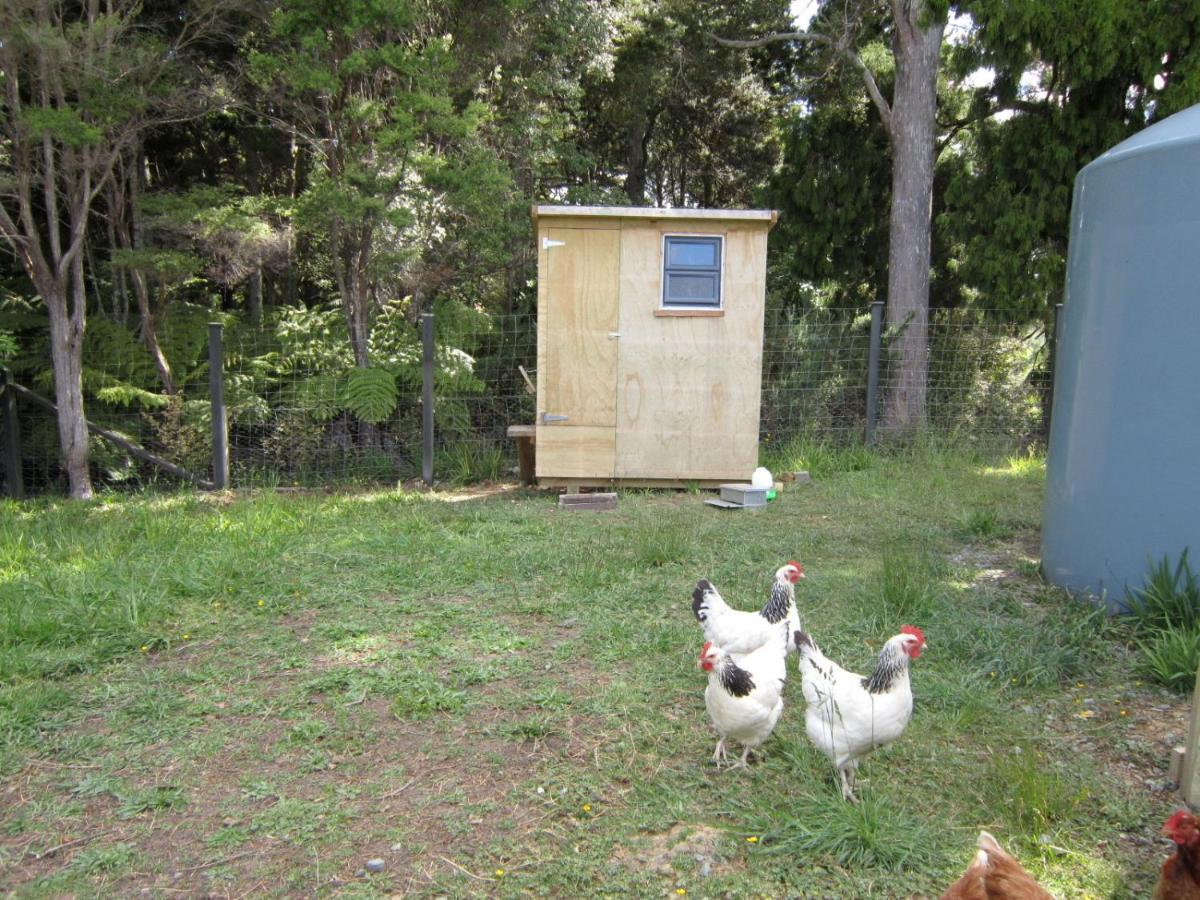 Villa The Hen House Kaipara Flats Exterior foto
